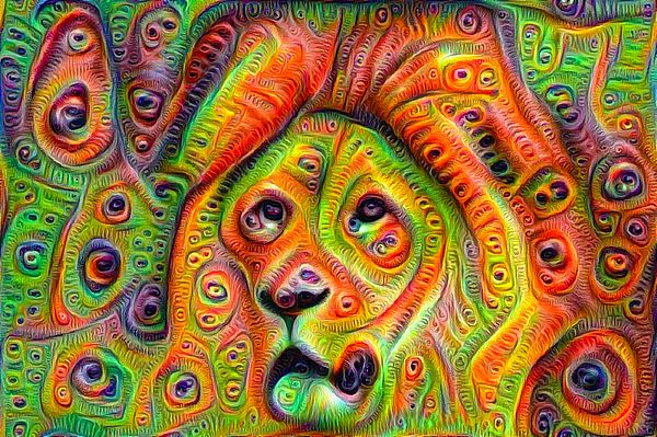 Google Deep Dream Example